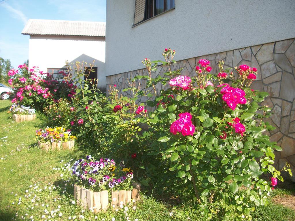 Vrhovine House Veljkoヴィラ エクステリア 写真